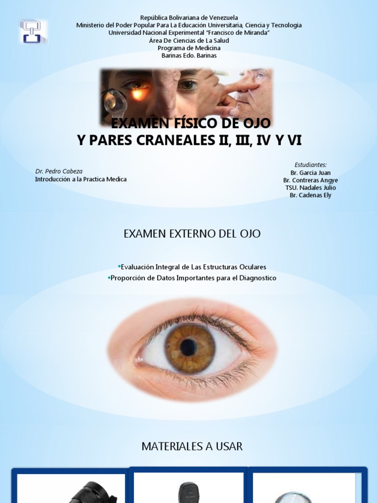 Ipm Oculomotores | PDF | Ojo humano | Percepción visual