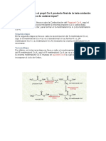 Final de La Beta Oxidación