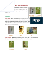 Okra Shoot and Fruit Borer PDF