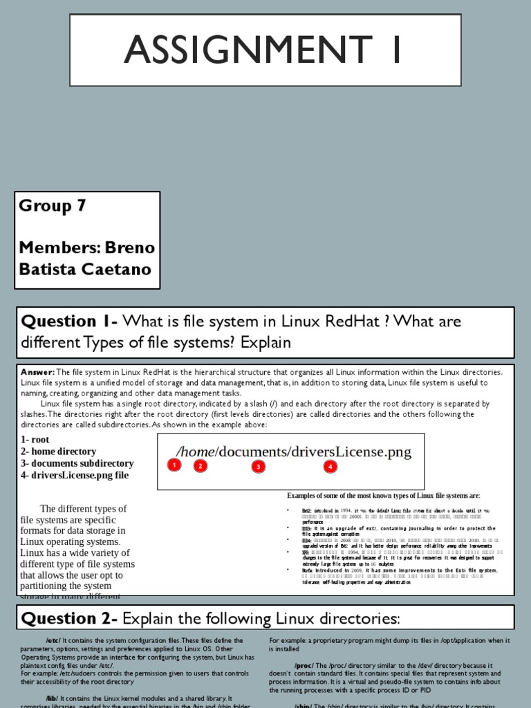 Assignment 1 PDF Computer Hardware File System