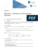 Tema02 Matrices y Sistemas Apuntes