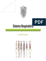 Sistema Respiratório