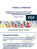 Salud Publica y Ambiente