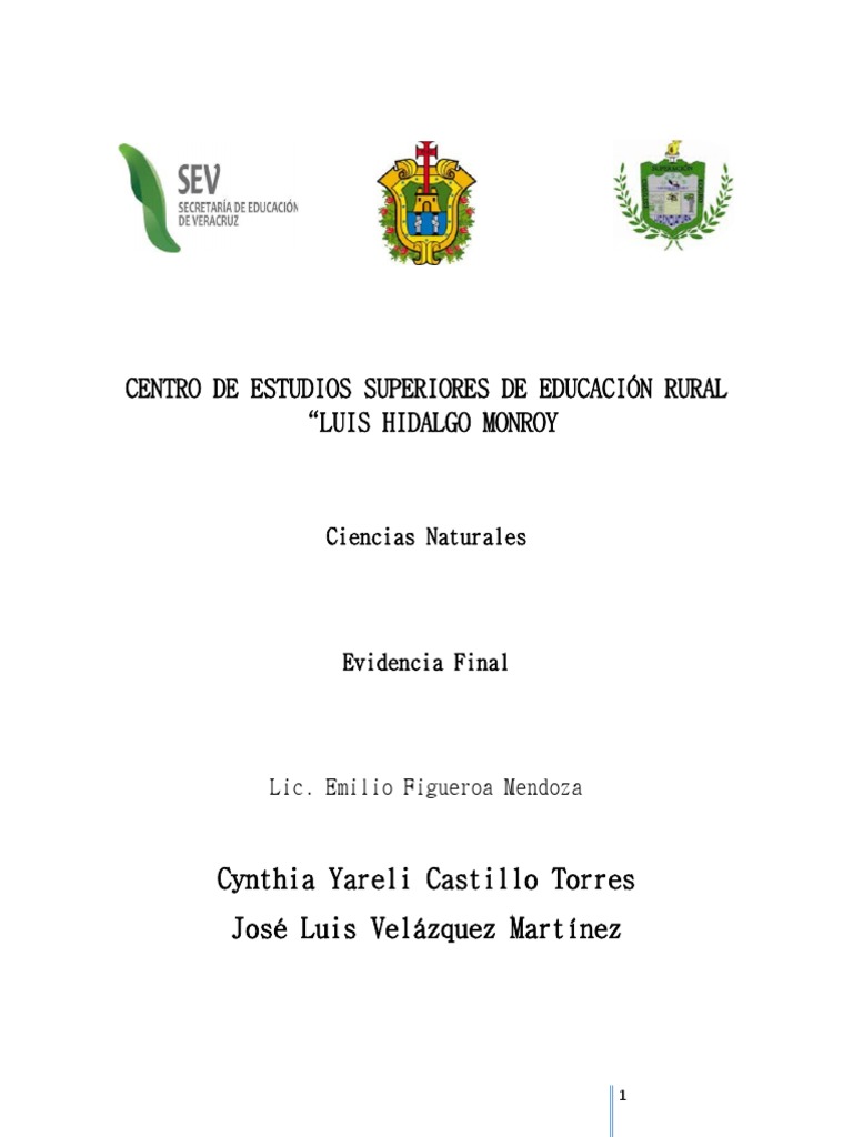 Informe Final Pdf