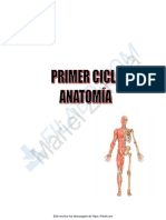 Resumen de Anatomia Primer Modulo