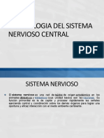 Embriologia Del Sistema Nervioso Central