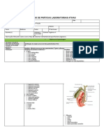 Sistema Digestório II: ROTEIRO DE PRÁTICAS LABORATORIAIS ATIVAS