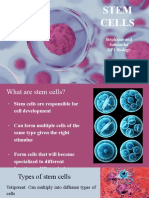 PowerPoint On Stem Cells Topic 1 IB Biology