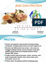 Praktek KO2 - Asam Amino Dan Protein