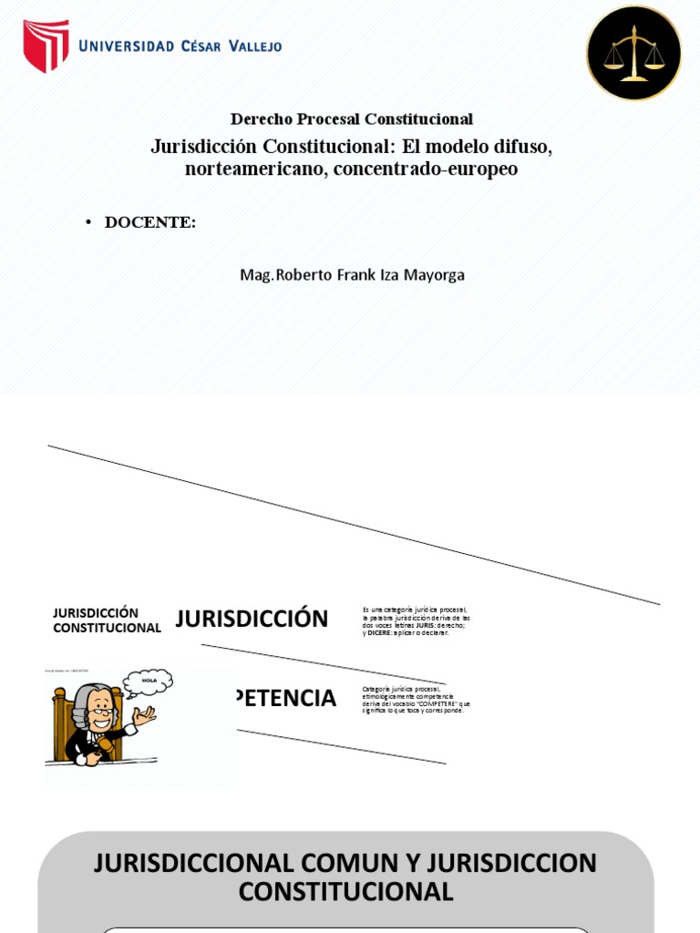 La Jurisdiccion Constitucional | PDF | Jurisdicción | Ley procesal