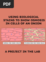 Osmosis, Turgor Pressure and Plamolysis in Onion Cells