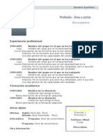 Curriculum Vitae Modelo1 Oscuro