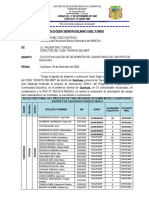 Informe Desempeño Coord. - Director Ceba-Deba