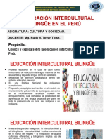 Educación Intercultural Bilingue