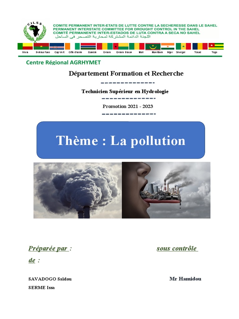 Comprendre la Pollution et ses Impacts | PDF | Pollution de l'air ...