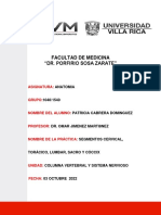 Practica 2.1 Segmentos Cervical, Torácico, Lumbar, Sacro y Cóccix