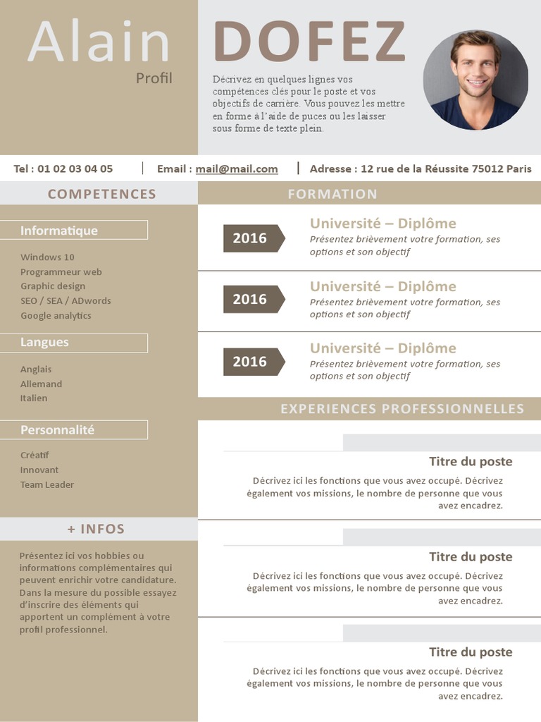 CV Alain Dofez: Compétences et Expérience en Informatique et SEO | PDF ...