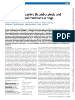 Paper Trombocitosis