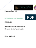 DeLeonHerrera Paola M16S1AI3