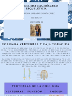 I.D175237 Casandra Lobato Domínguez - Bases Del Sistema Músculo Esquelético 2