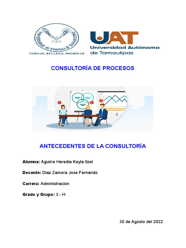ensayo-consultor-a-pdf-business-economias