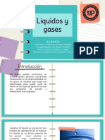 Liquidos y Gases