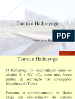 Tantra e Haṭha-yoga. João Carlos Barbosa Gonçalves