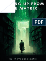 Waking Up From The Matrix: Escape From The Reincarnation Soul Trap