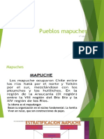 Mapuches y Mayas