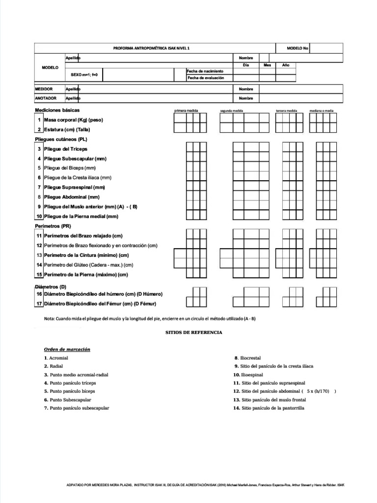 Modelo de evaluación antropométrica ISAK nivel 1 | PDF | Anatomía del ...