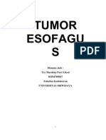 Tumor Esofagus BT Di Upload