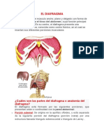 El Diafragma