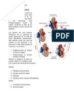 Fase Del Ciclo Cardiaco