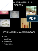 Teknik Isolasi Dan Uji Biokimia