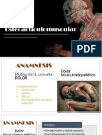 Sistema Osteoarticulomuscular