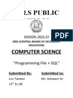 Computer Project File Luv Tandon