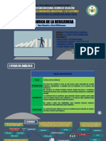 En Busca de La Resiliencia