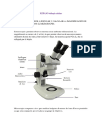 REPASO Biología Celular