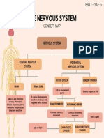 Nervous System