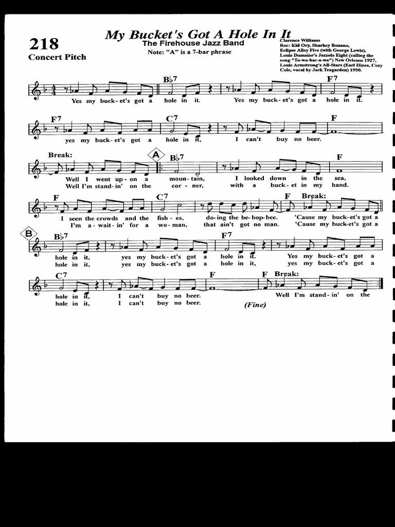 218 My Bucket's Got A Hole PDF