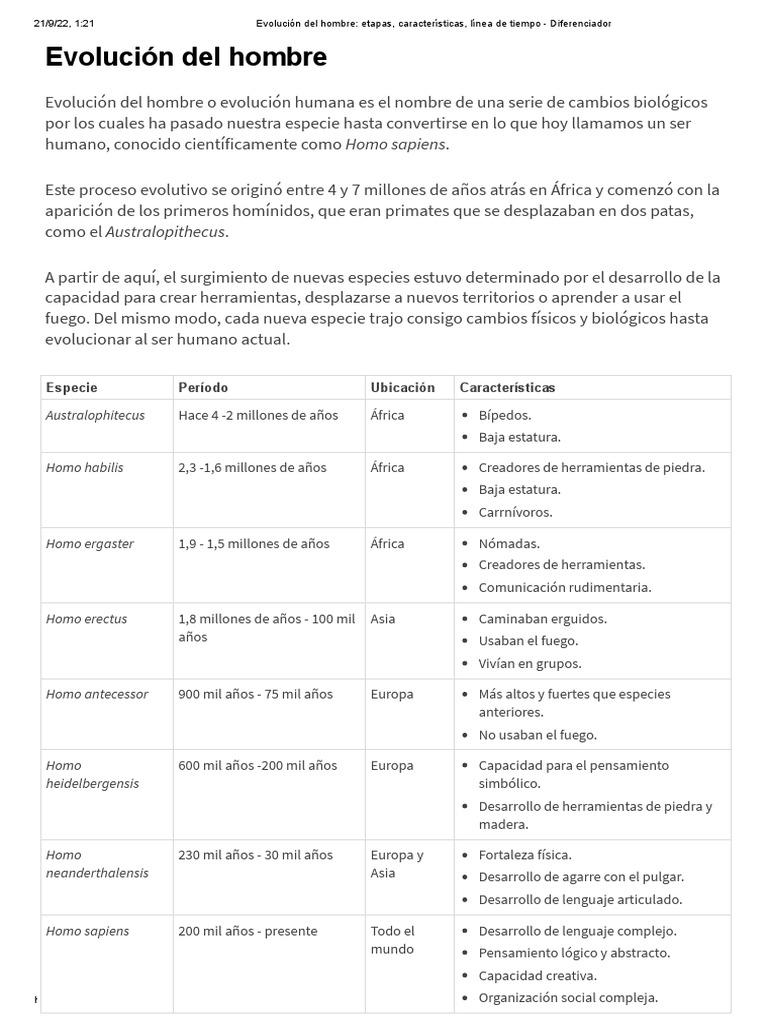 Etapas de la evolución del hombre | PDF | Evolución humana | Homo