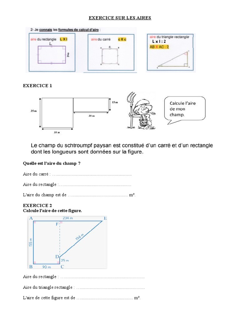 Exercices Maison Aires de Carré-Rectangle-Triangle Rectangle CM2 | PDF