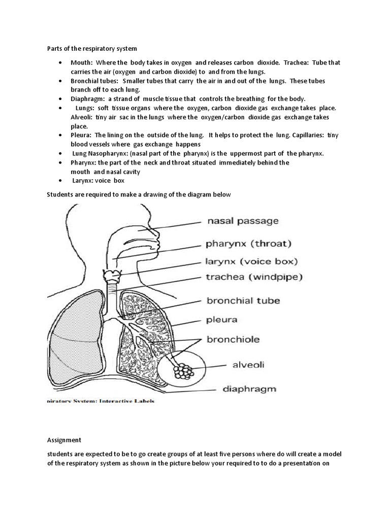 Grade 8 Activity Pdf