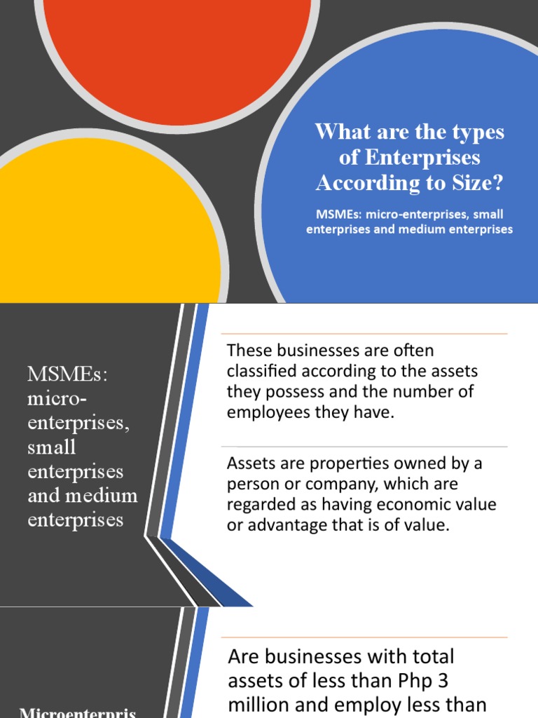 2 Types of Enterprises According To Size PDF Small And Medium Sized