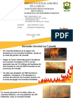 Trabajo 2 - Incendio Forestal