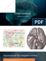 flujo cerebral