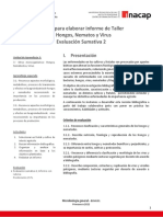 BLMG01-EVS2 - Guía Trabajo Microbiología Hongos-Nematos-Virus