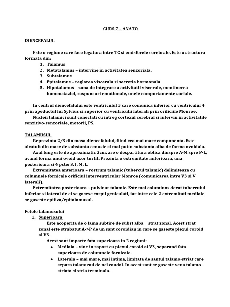Curs 7 Anato | PDF