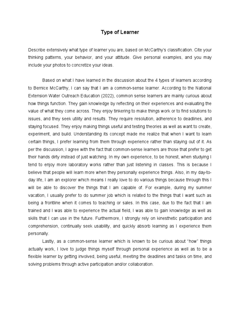 Type Of Learner Pdf Learning Experience