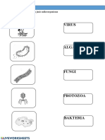 Latihan Mikroorganisma